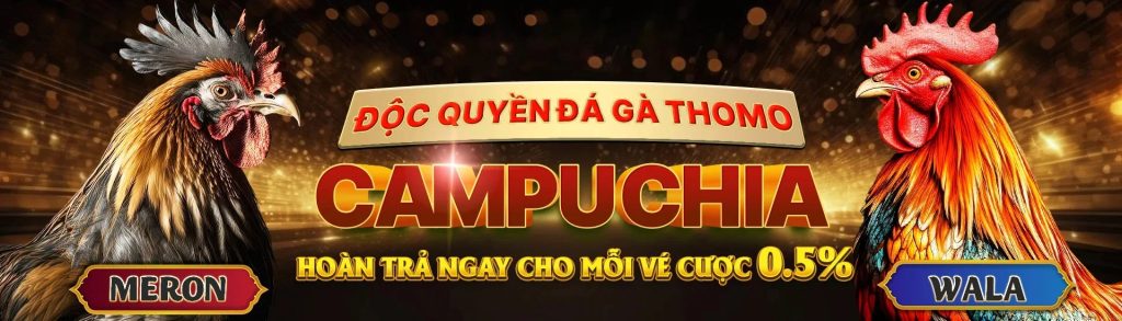 Trải Nghiệm Đá Gà Trực Tiếp Từ Thomo Và Hơn Thế Nữa 